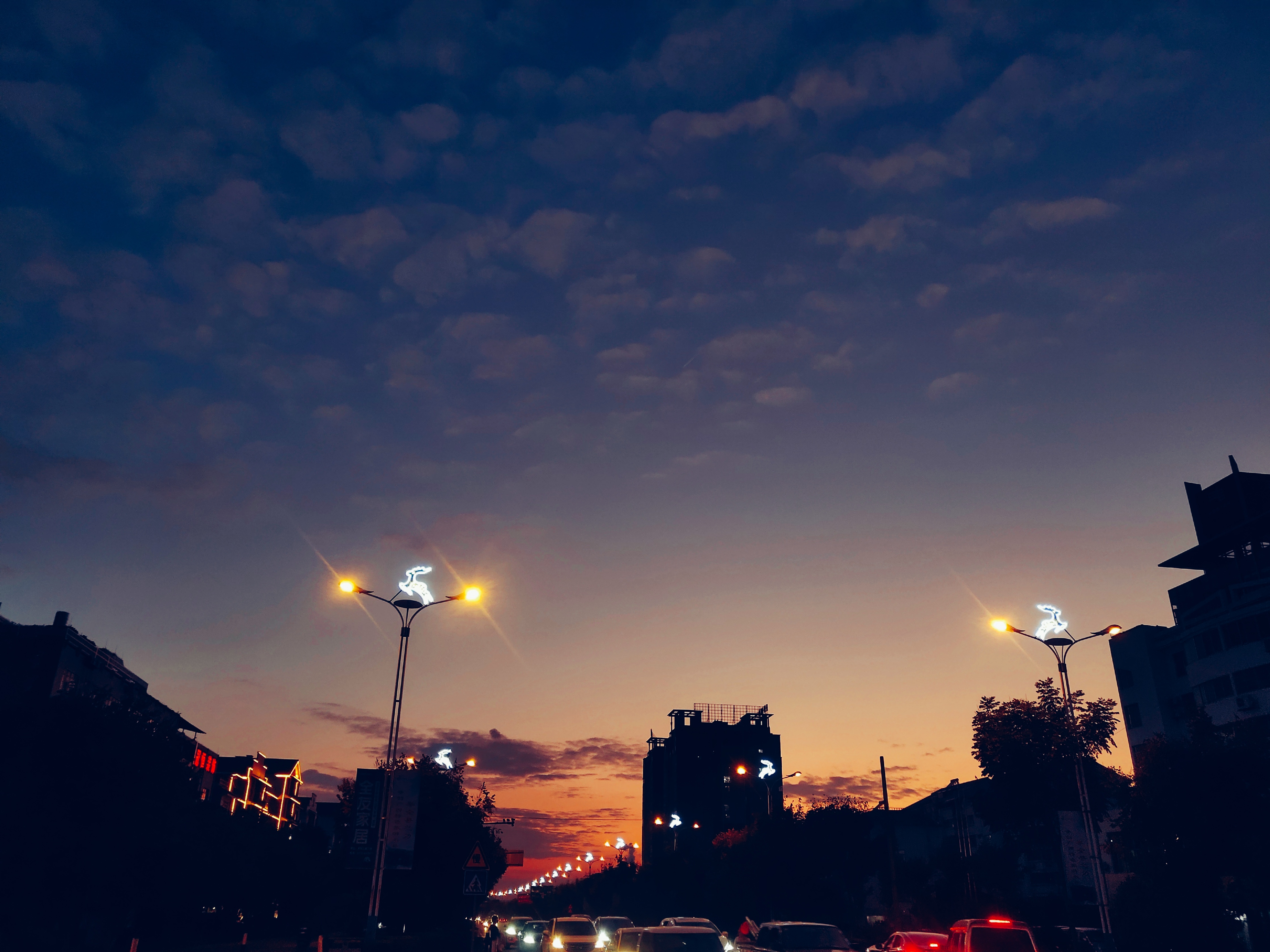 background picture of the home page